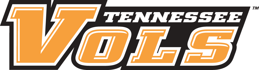 Tennessee Volunteers 2005-Pres Wordmark Logo v2 diy fabric transfers